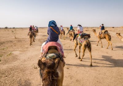 Camel Safari in Jaisalmer